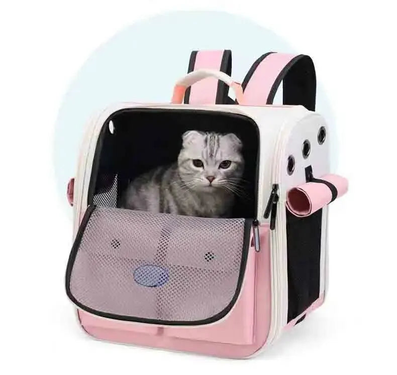 Reistas voor katten - Neem uw harige vriendje mee op reis!