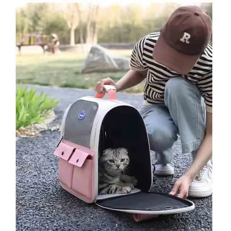 Reistas voor katten - Neem uw harige vriendje mee op reis!